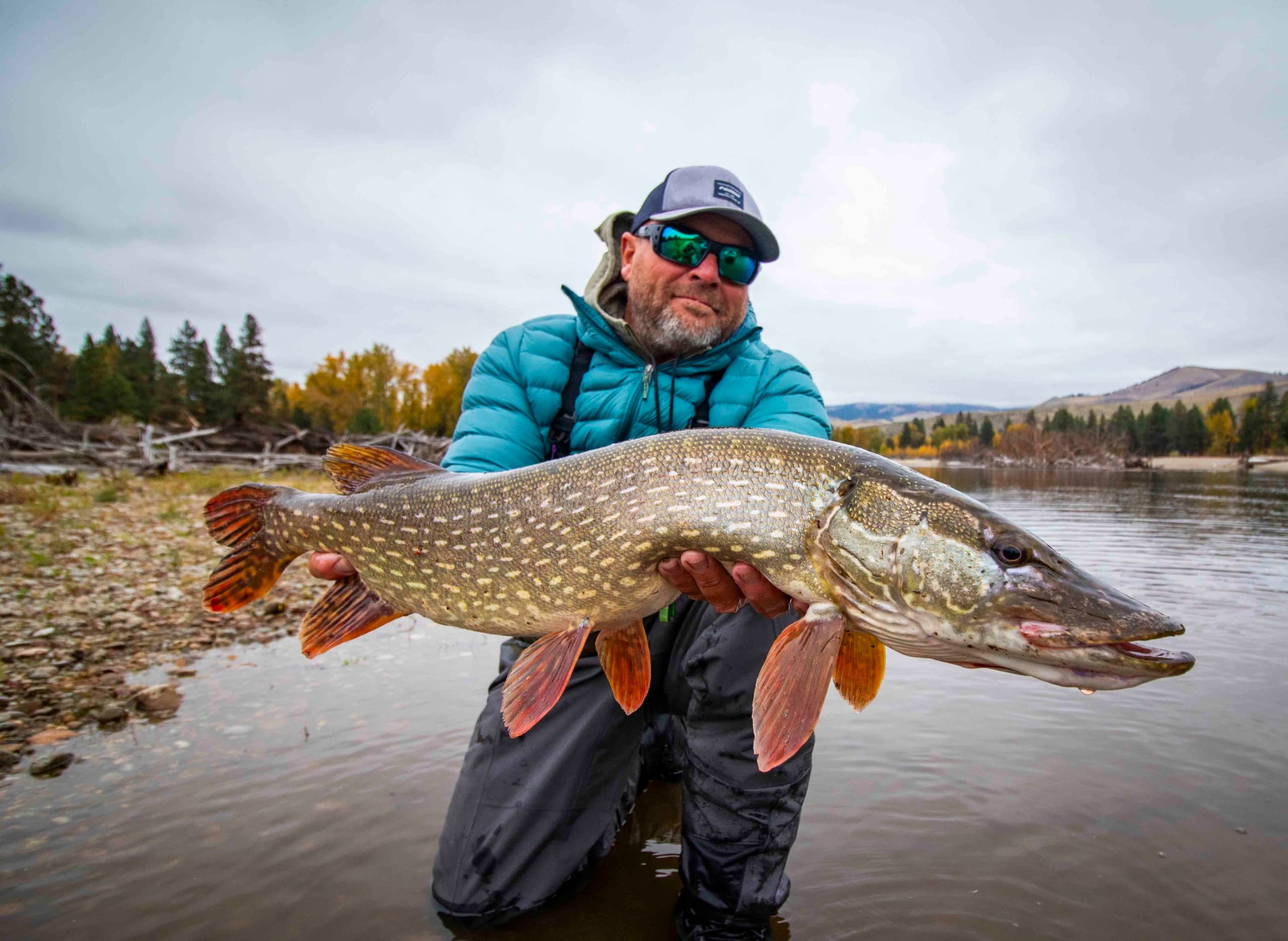 The Clark Fork — guided fly fishing water